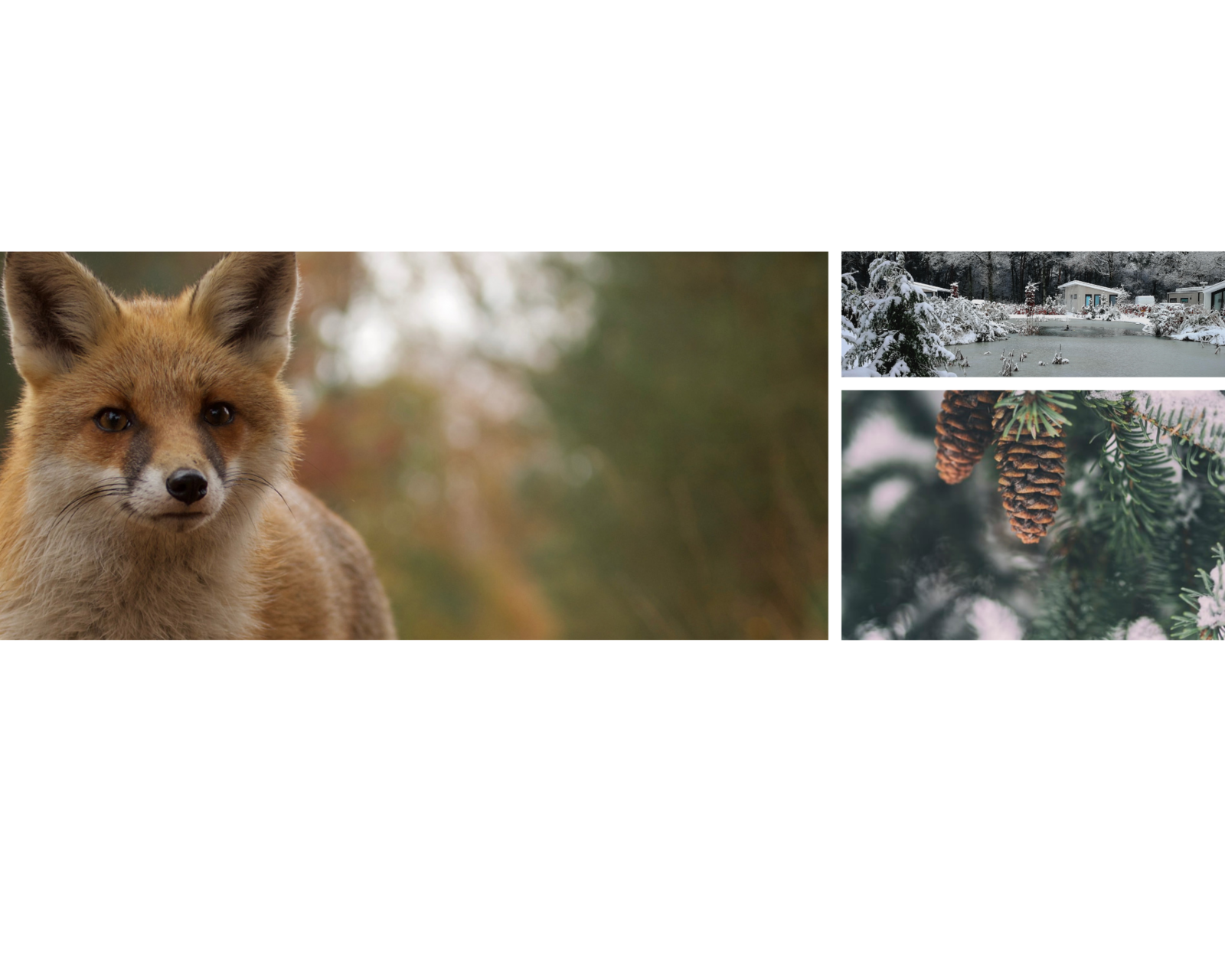 Veluwe