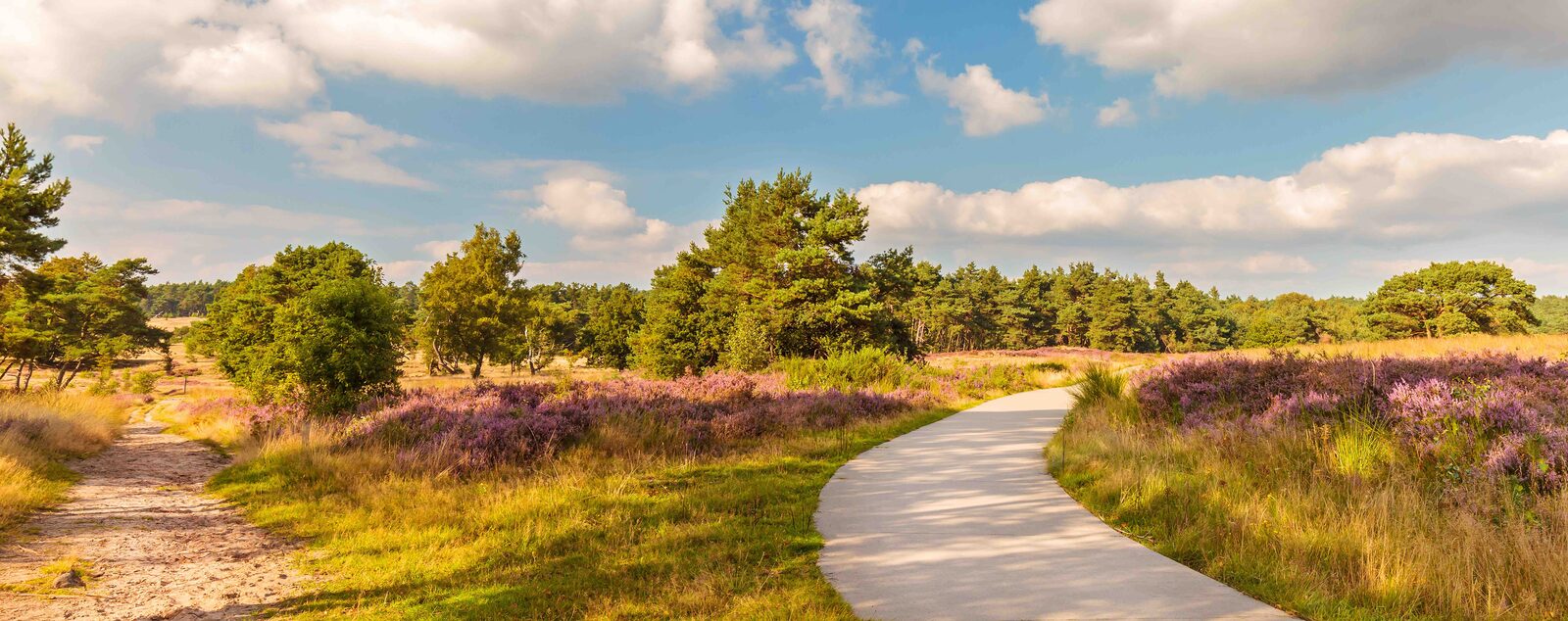 Visit Veluwe Pure and Delicious