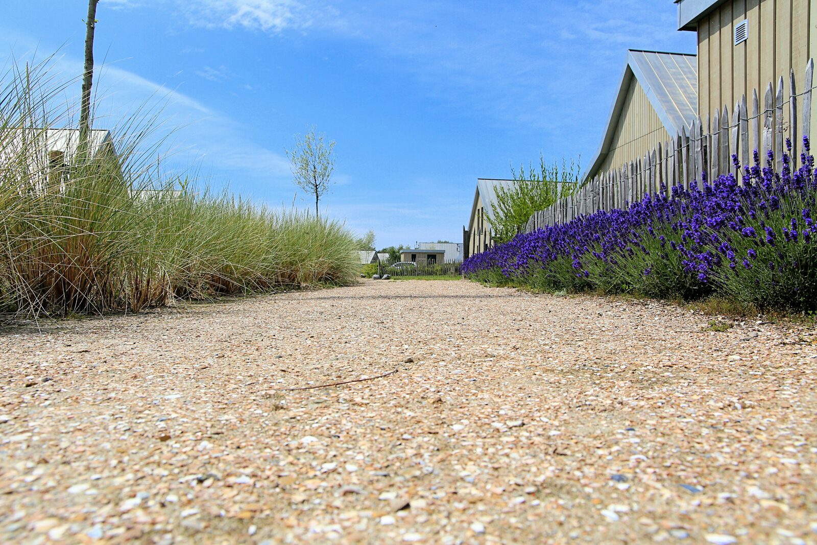 Natuur Oesterdam Resort