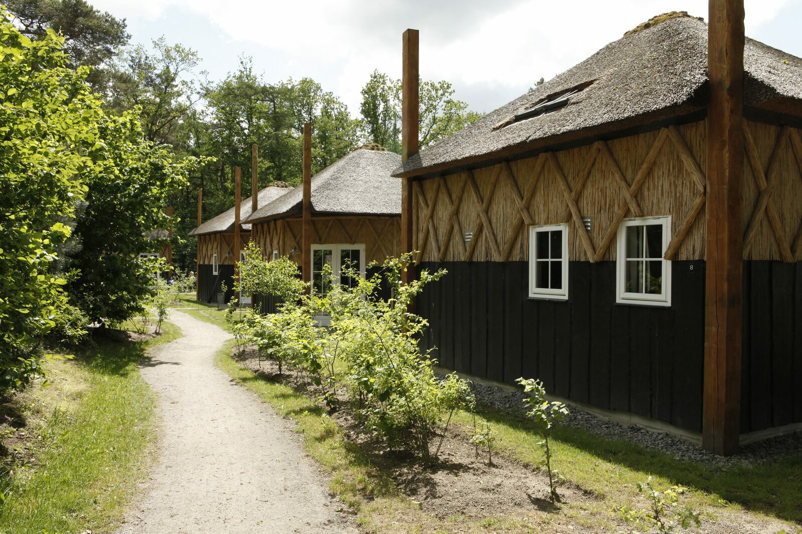 Vakantiepark nabij Assen | De Norgerberg