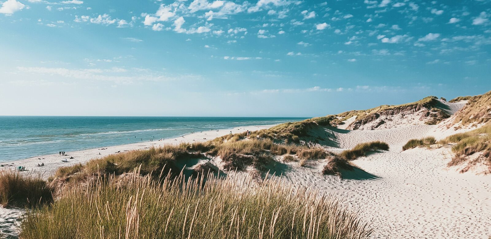Holiday At The Belgian Coast