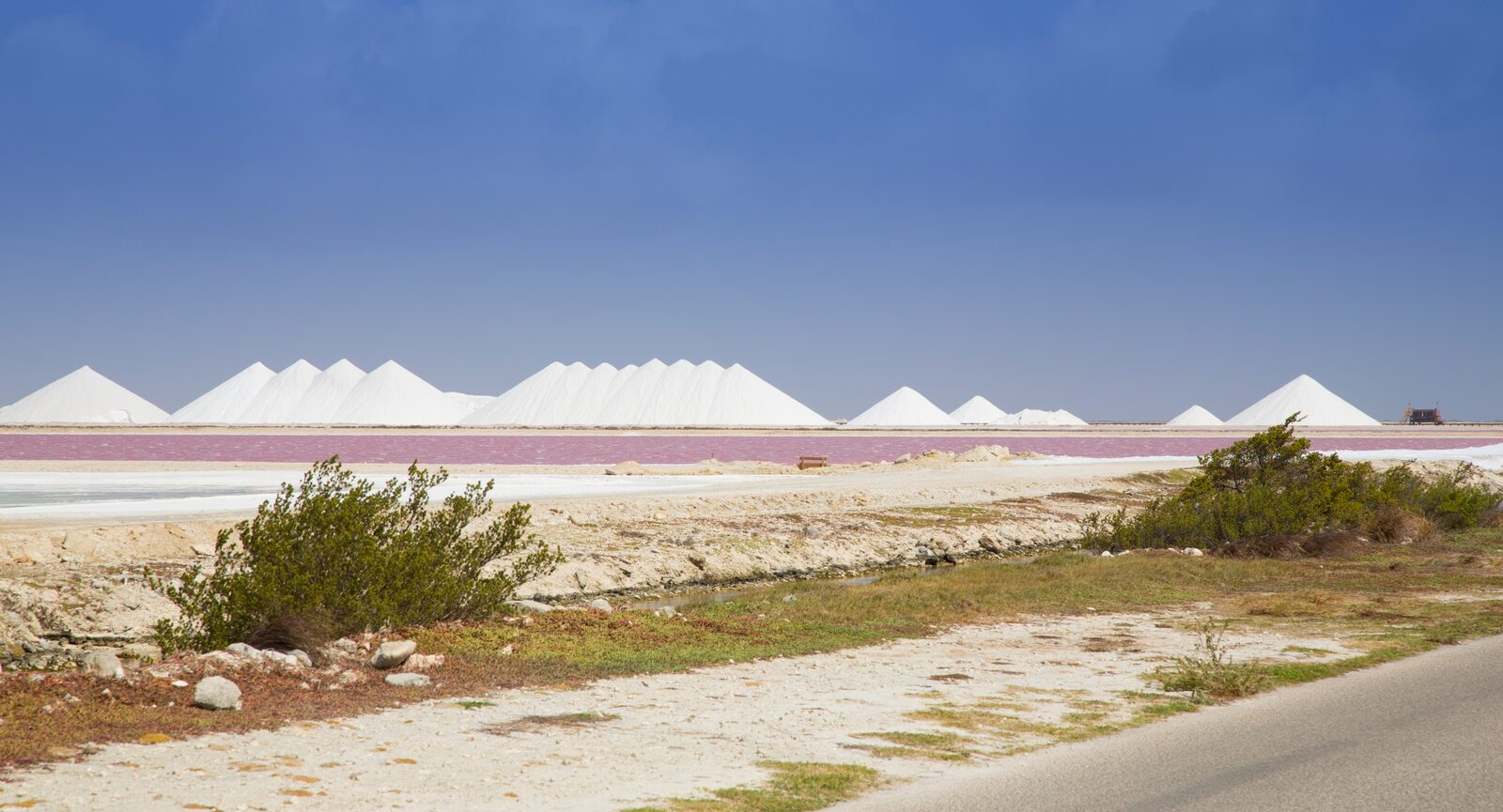 Salt plains