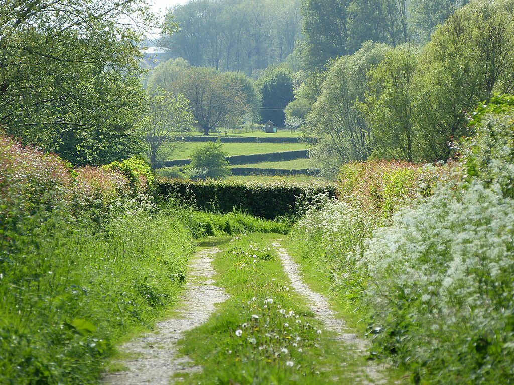 Een pad door de coulisselandschap in het regionale natuurpark l’Avesnois, Noord Frankrijk.