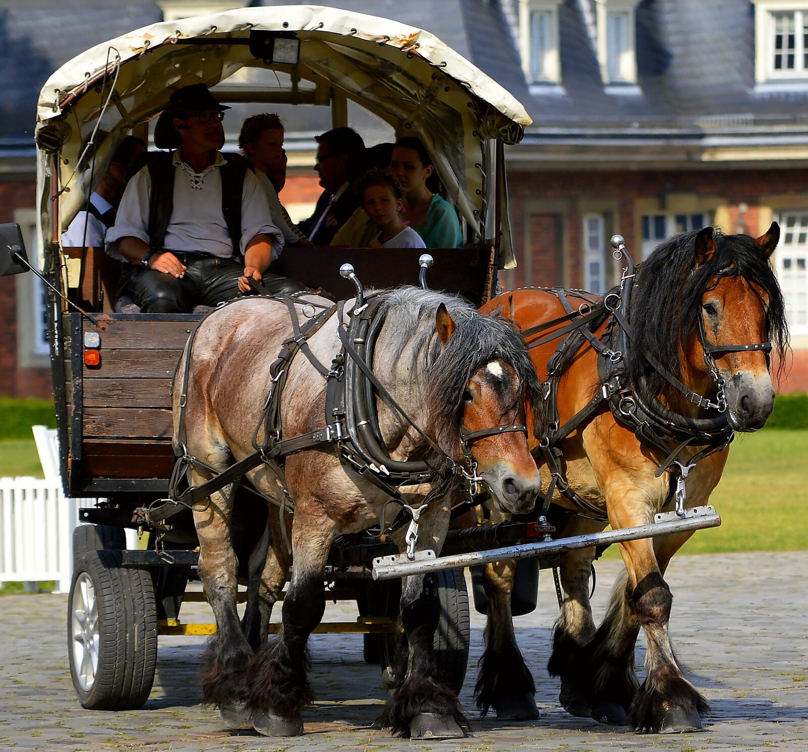 Covered wagon