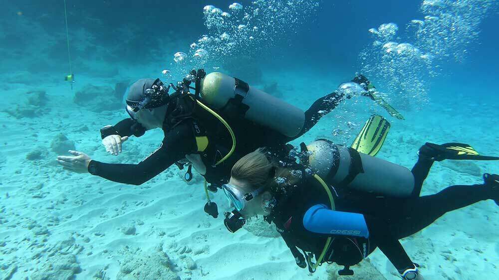 Rescue Diver Course Bahia Diving Curacao