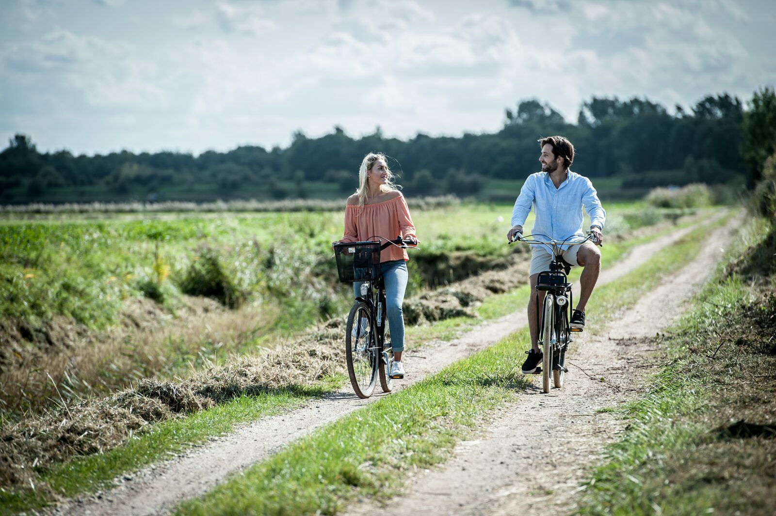 Holiday bike rental nature beach polder landscape