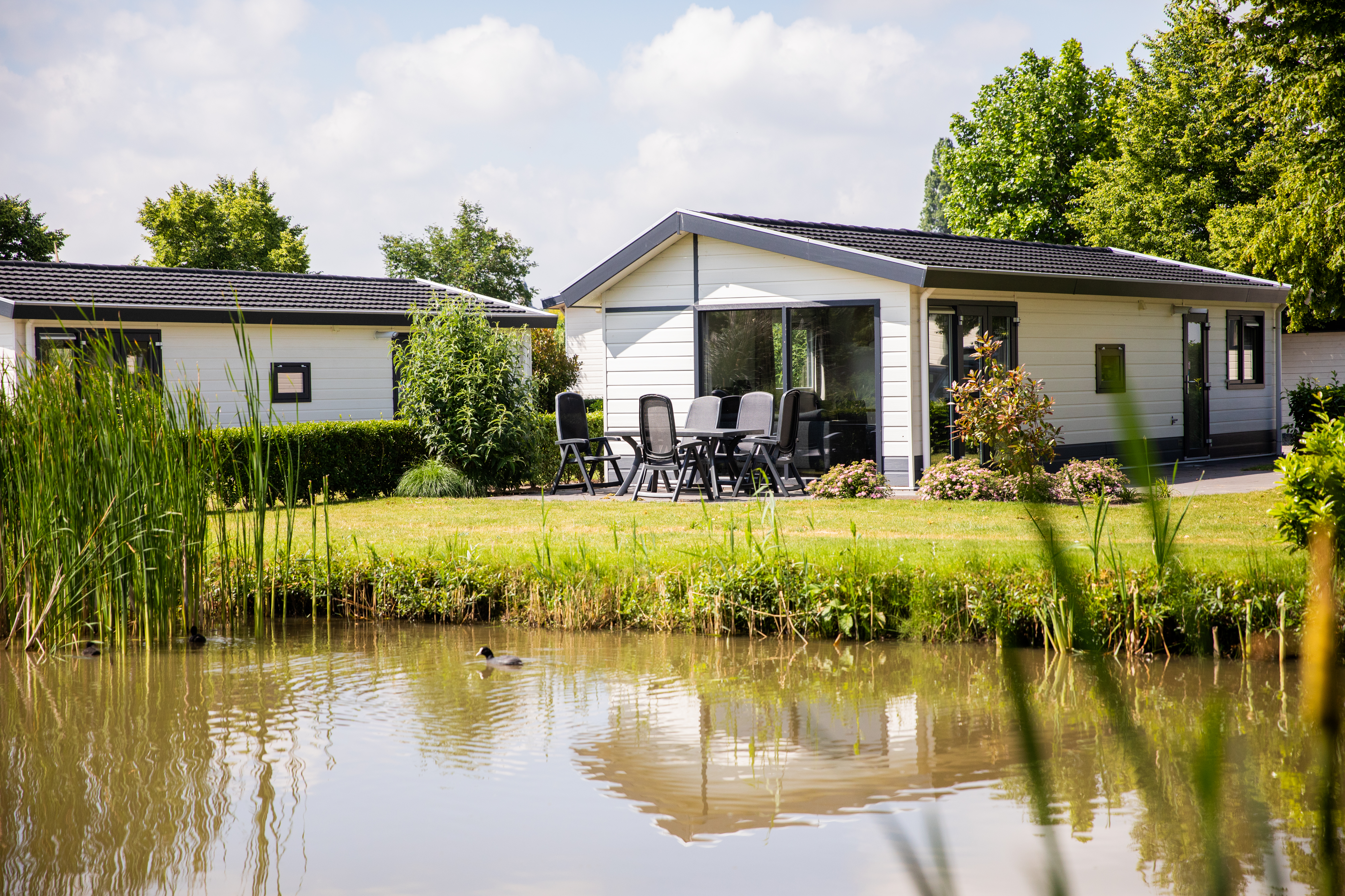 Waterparel aan de vijver