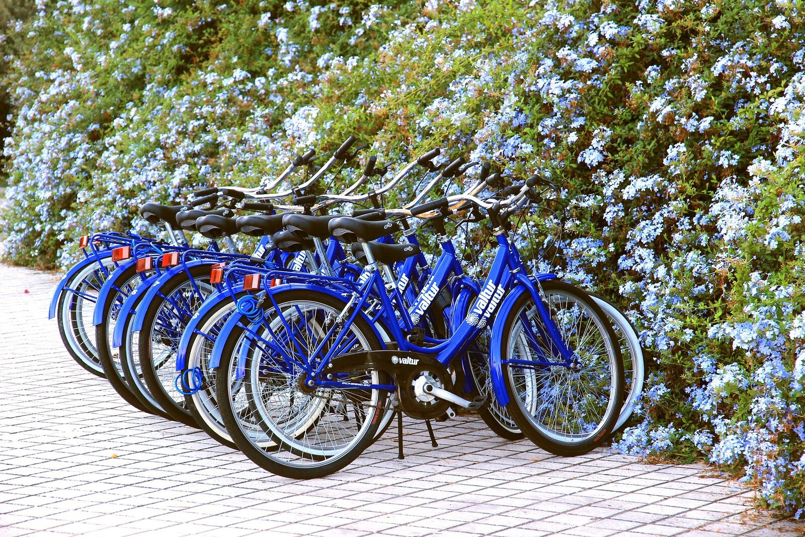 Bicycle rental