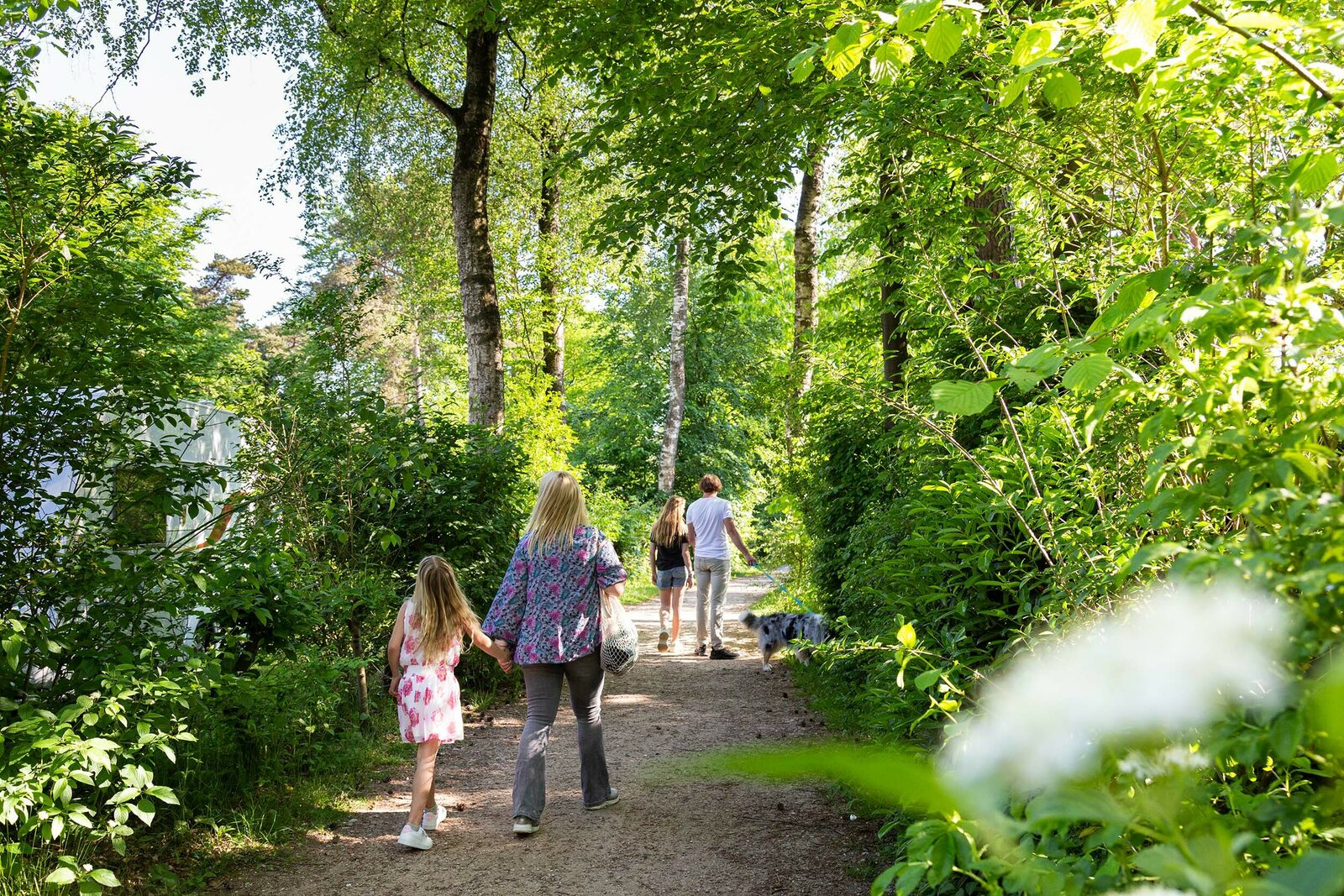 Ontdek de vakantieparken in Gelderland