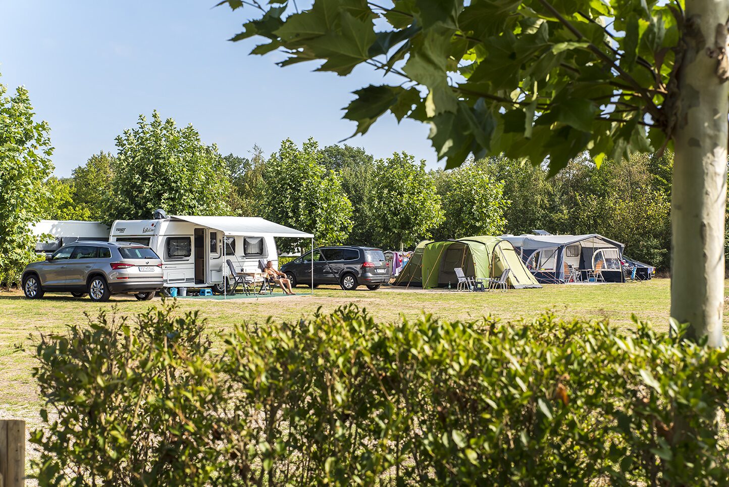 Campsite in the Achterhoek
