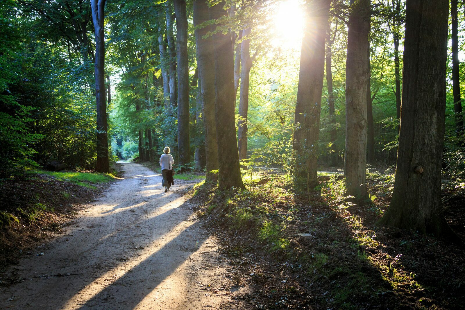 Aufenthalt Veluwe