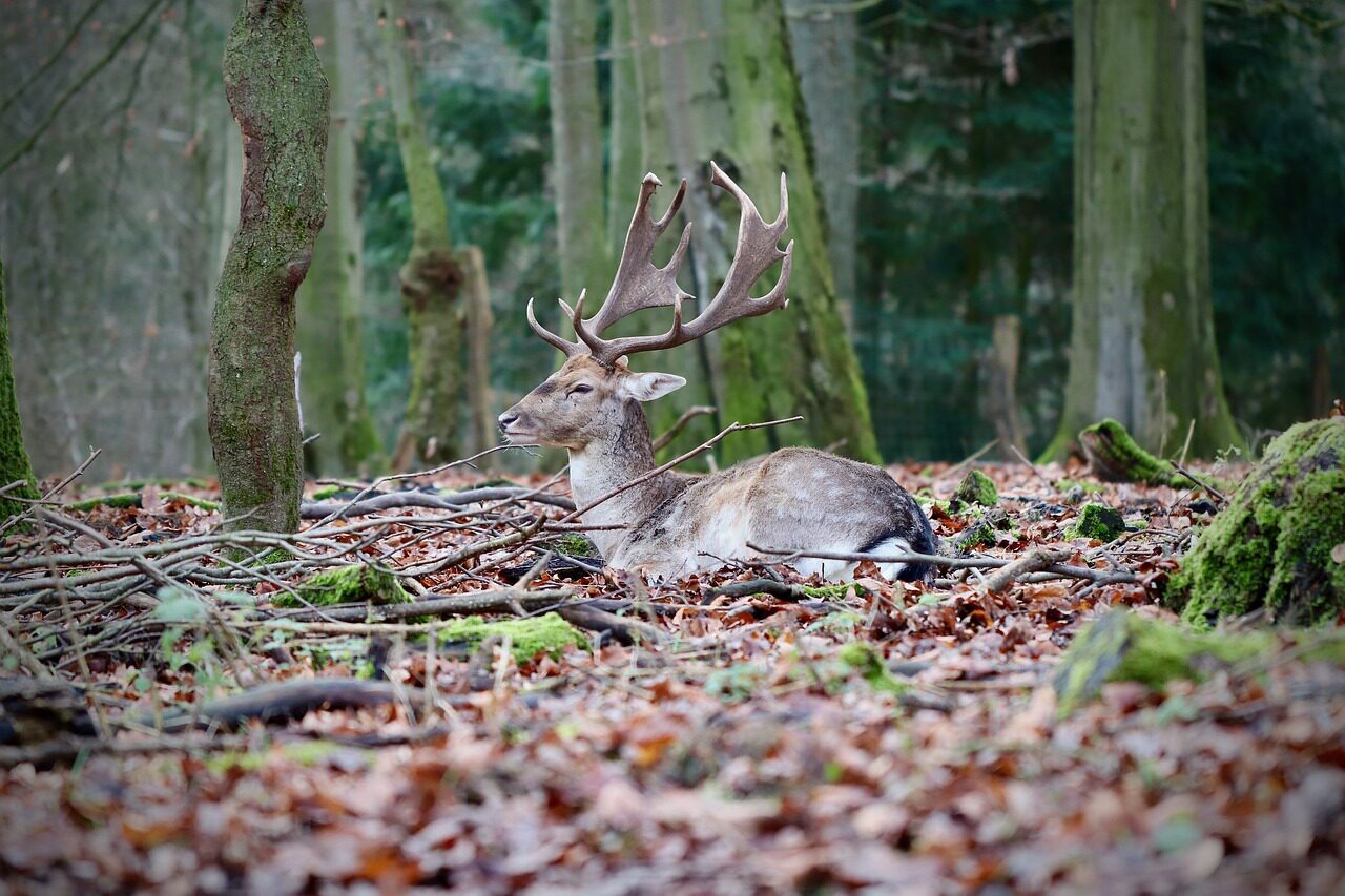 Herfst in Zeeland