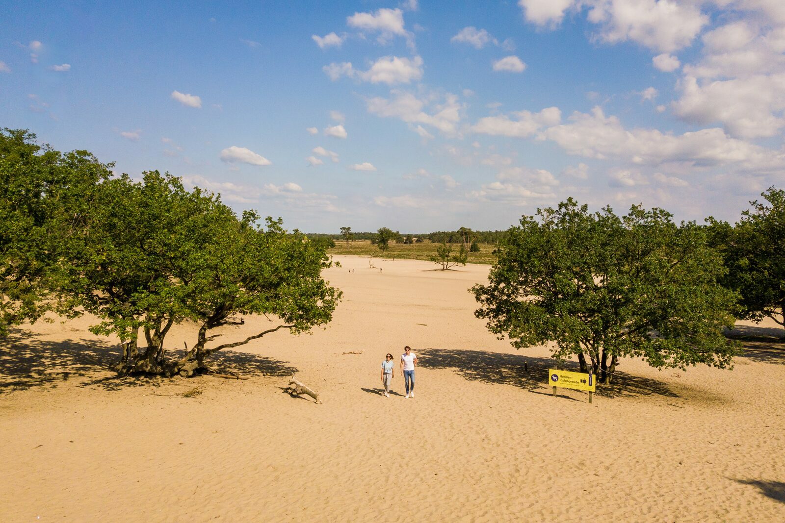 Holiday park Loonse and Drunense Duinen