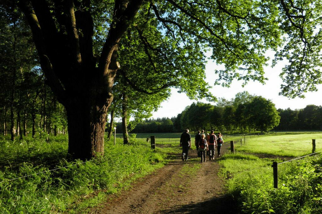 Wandeling