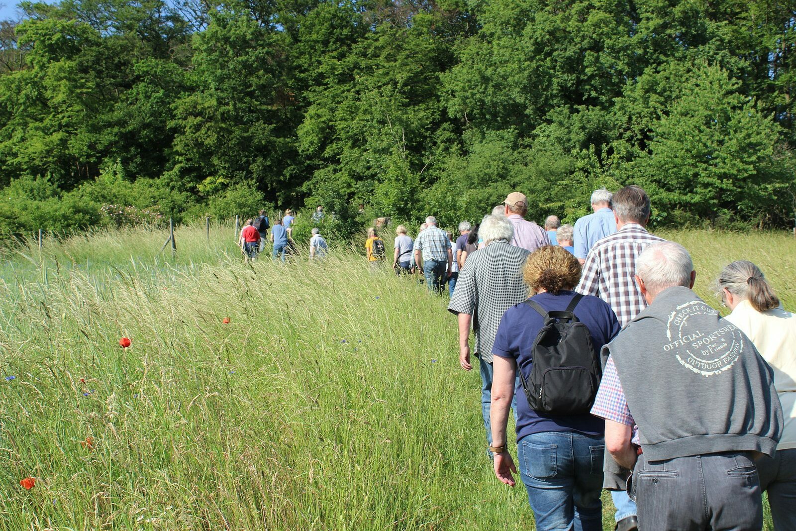 Four-day Walking Event in Salland