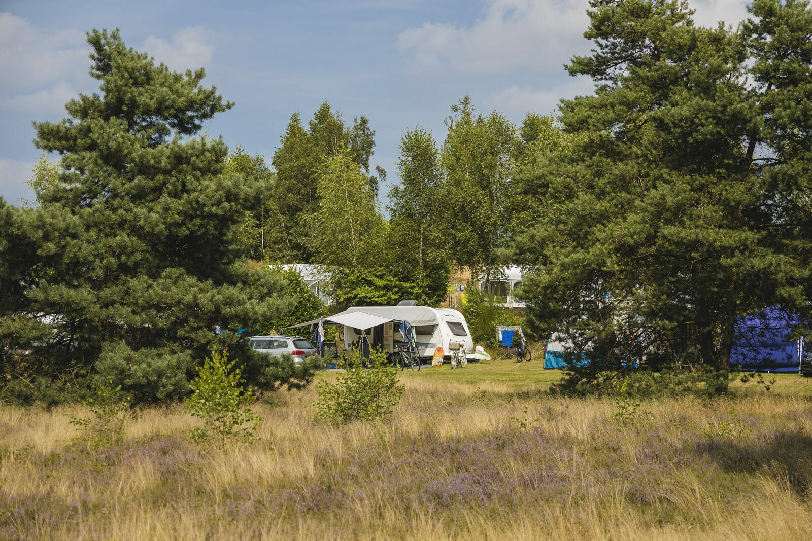 Camping Graftschaft Bentheim