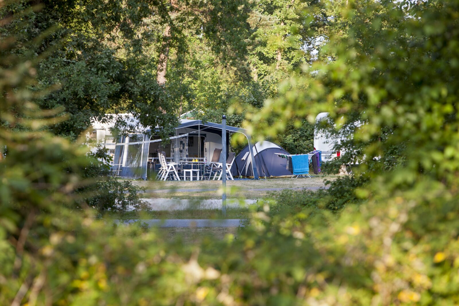 Grote camping Nederland