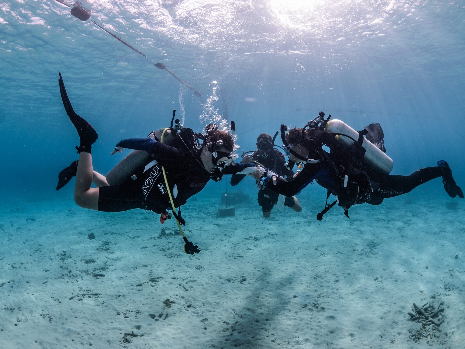 Diving Bonaire