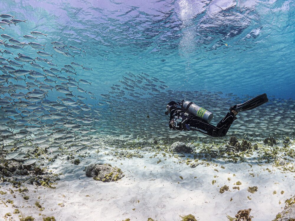 Duiken Bonaire