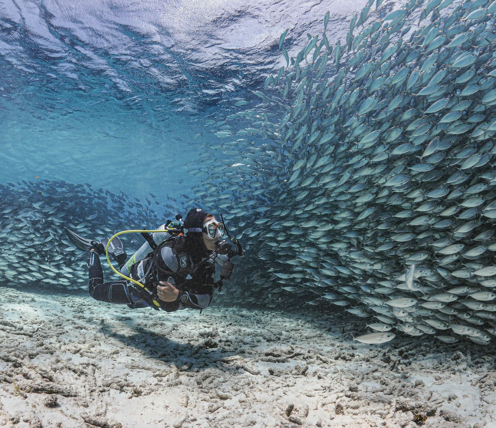 Best diving spots Bonaire