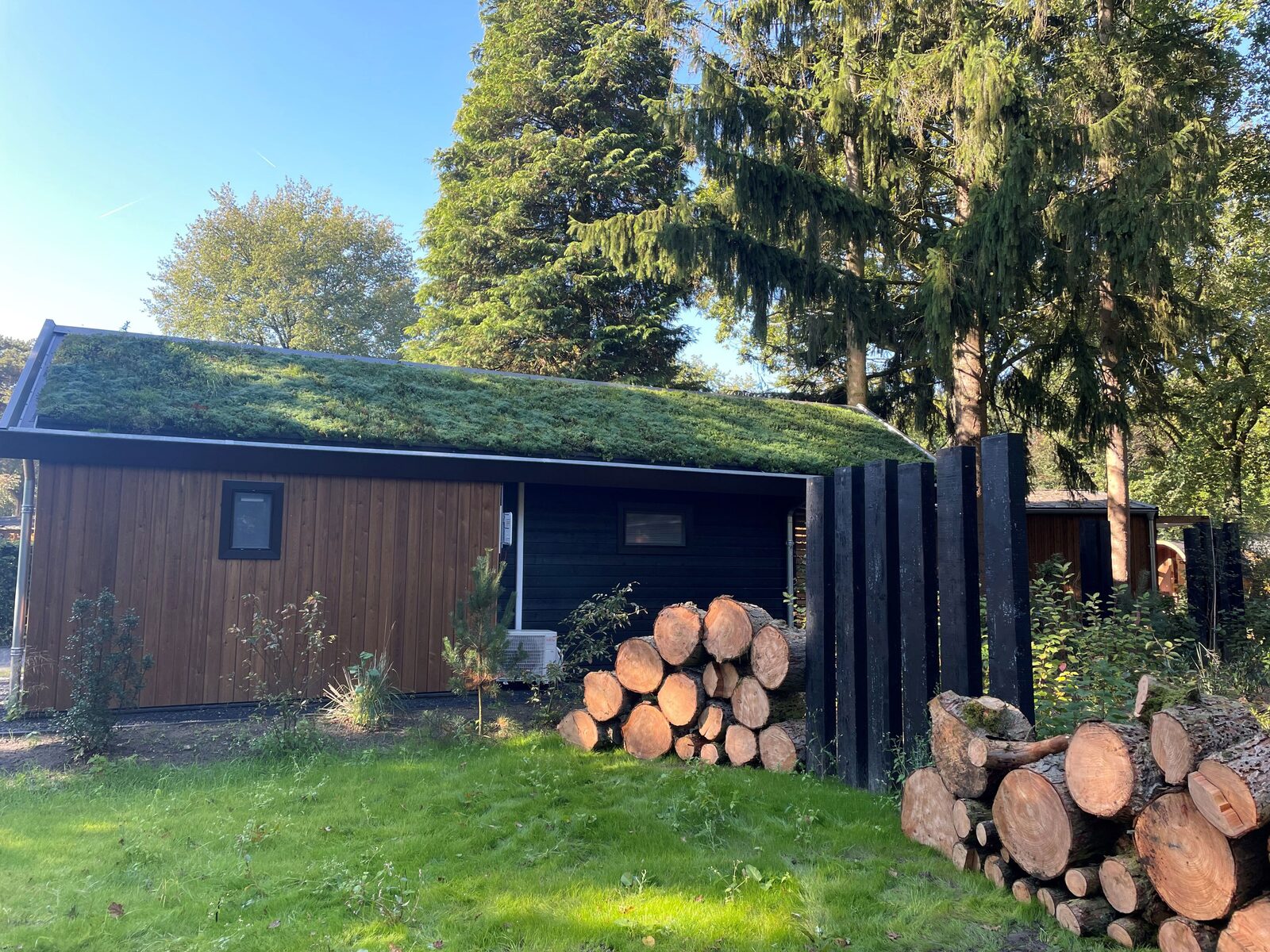 Vegetation roof