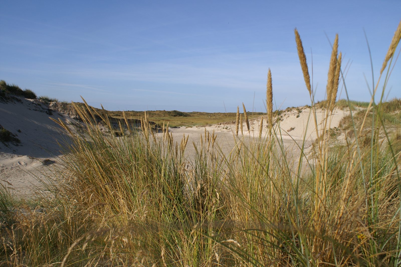 Group accommodation Texel