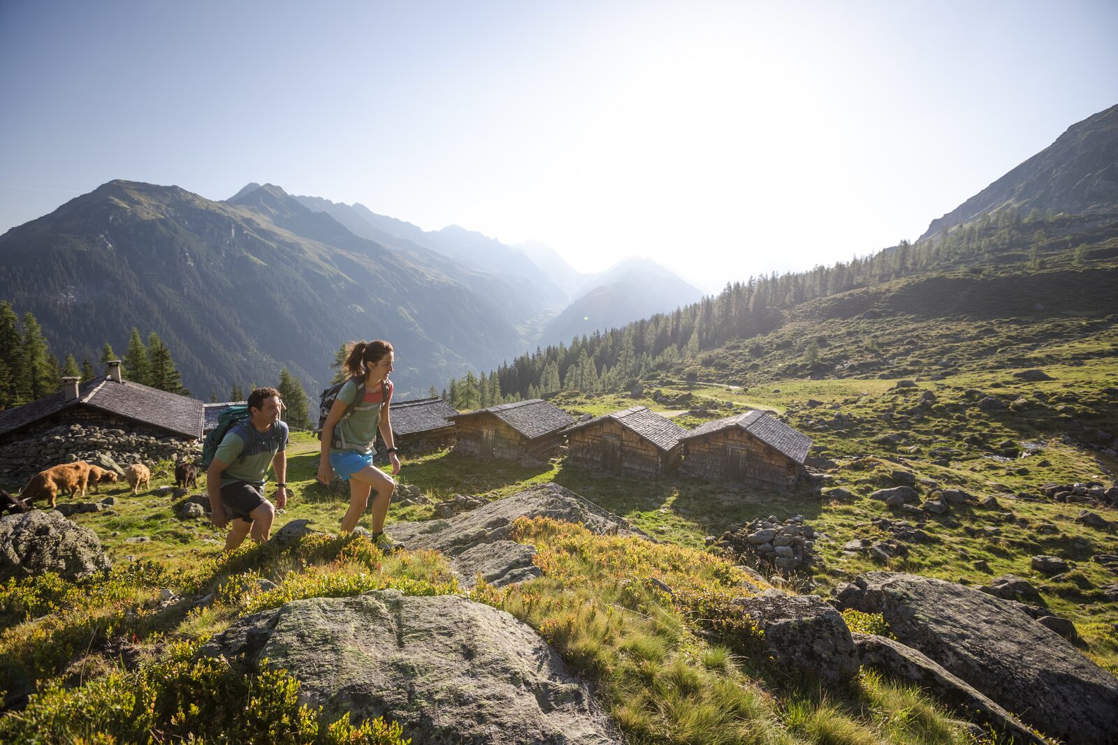 Sommerurlaub in Österreich - Wandern in den Bergen