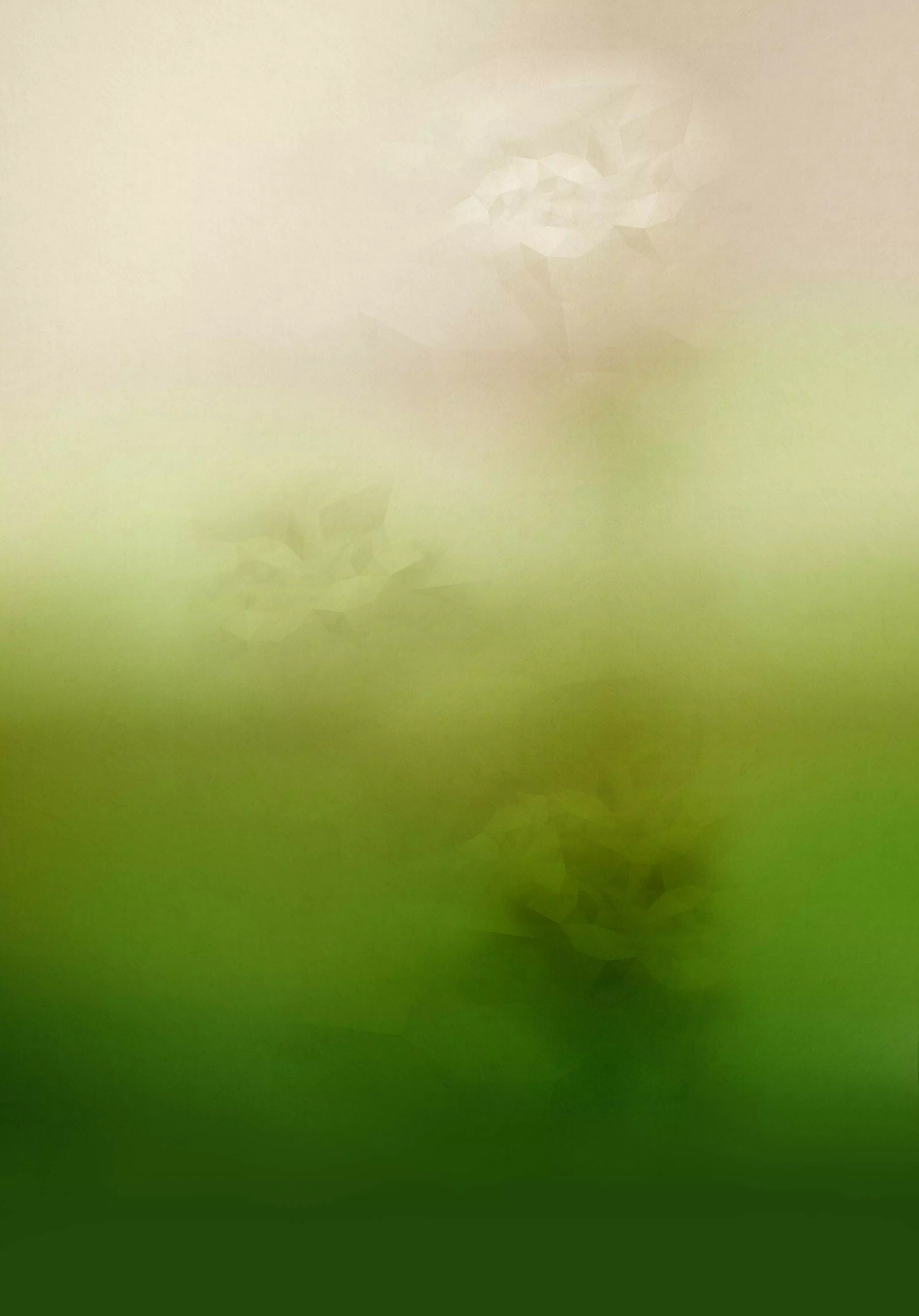 Camping de Paal - Photo 2