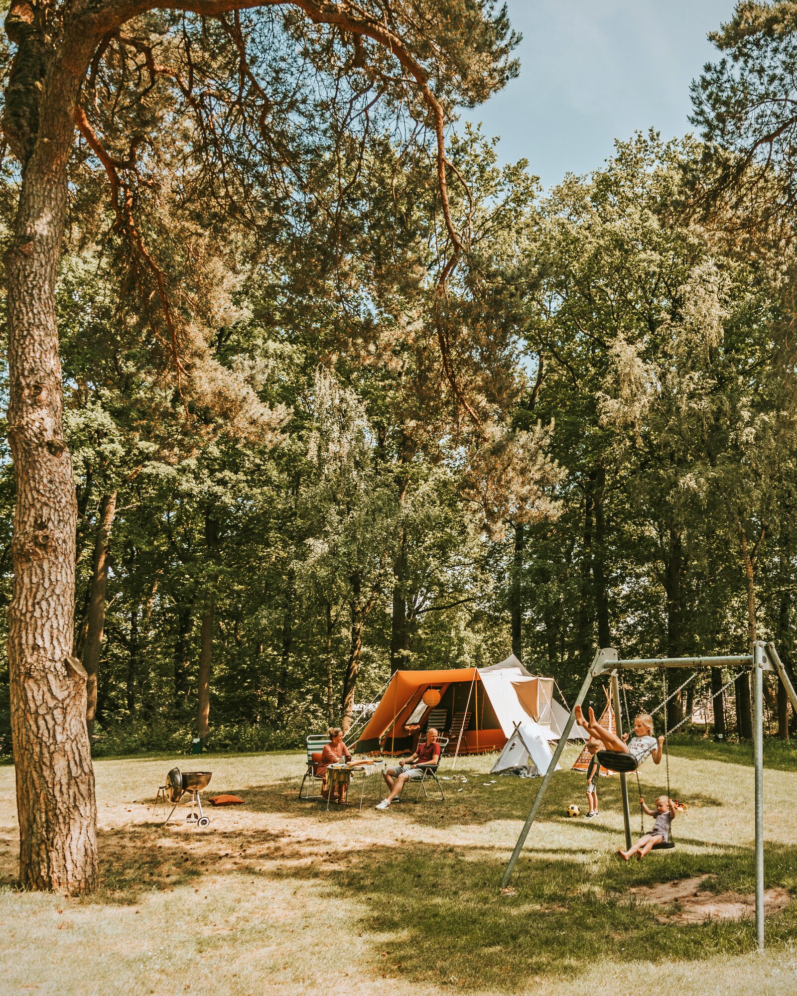 5-star campsite Overijssel