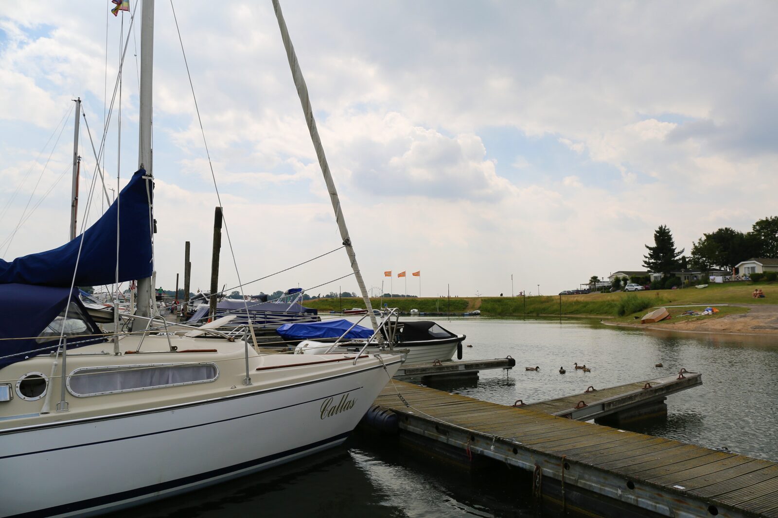 Camping met jachthaven Gelderland