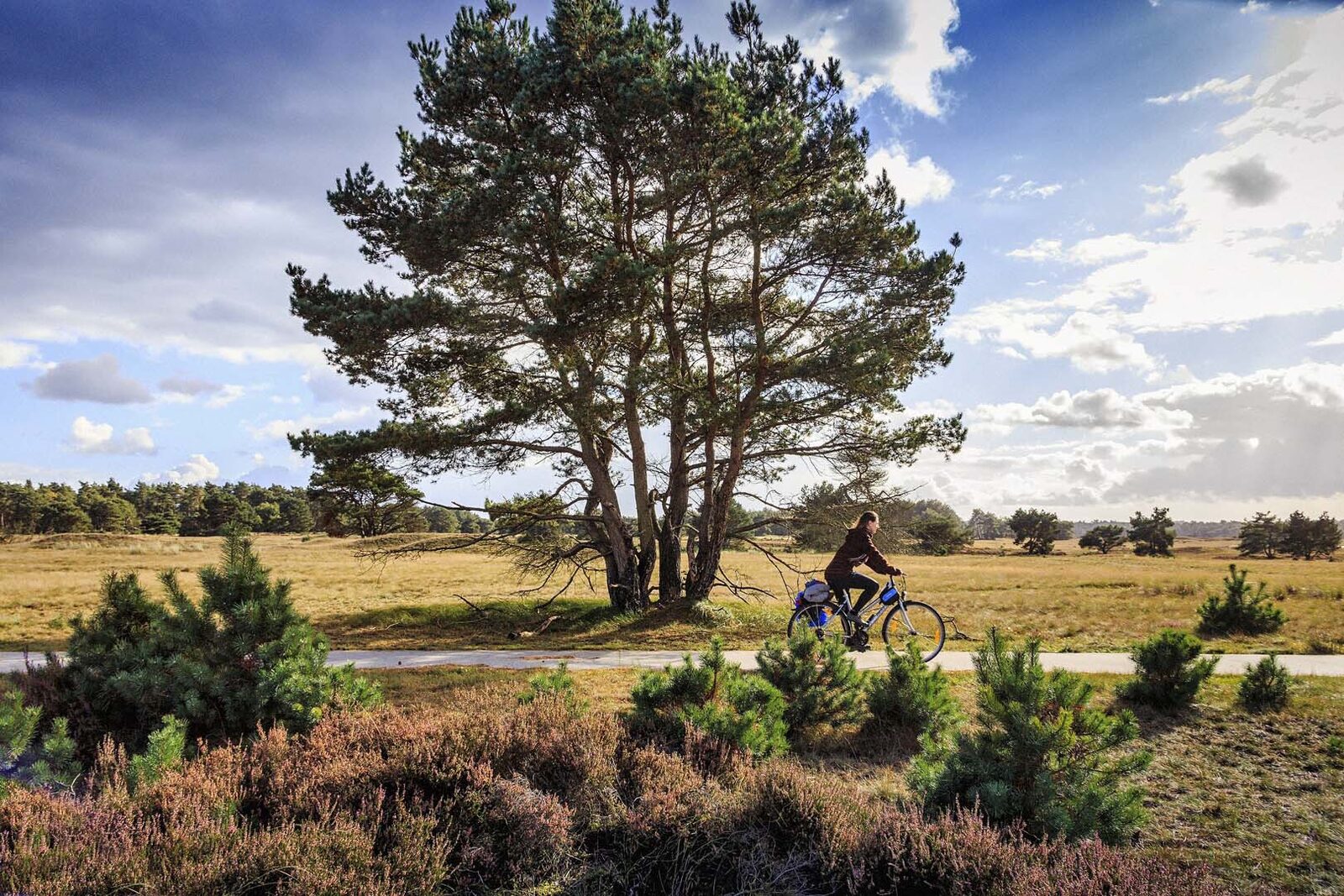 Nationalpark De Hoge Veluwe