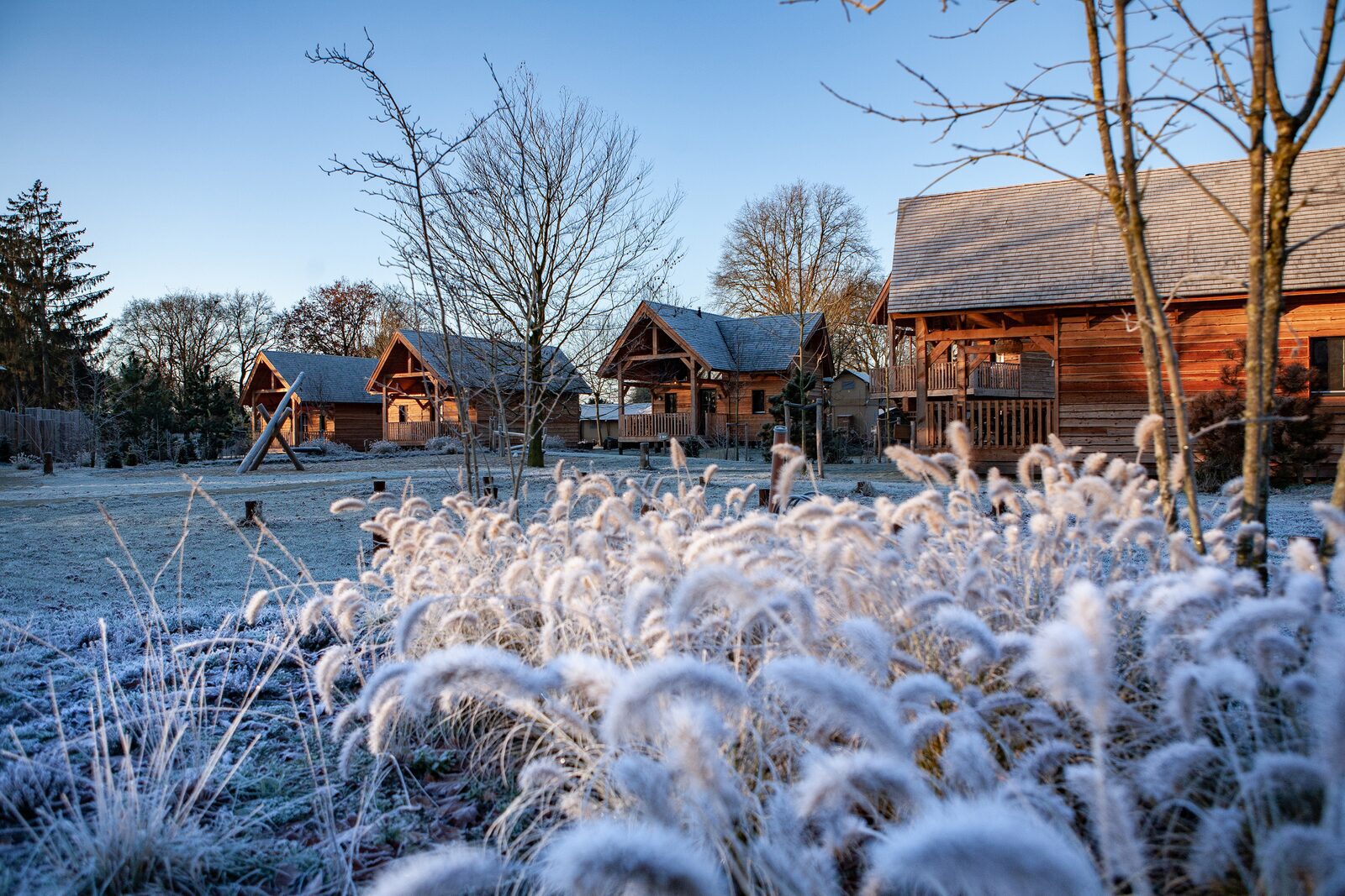 Winter in Noord-Brabant
