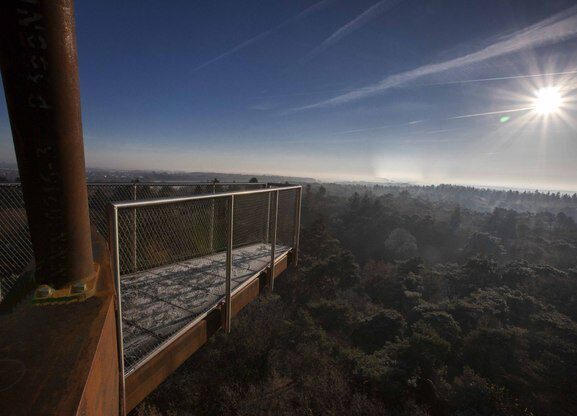 Bosbergtoren | Hoog boven de bomen