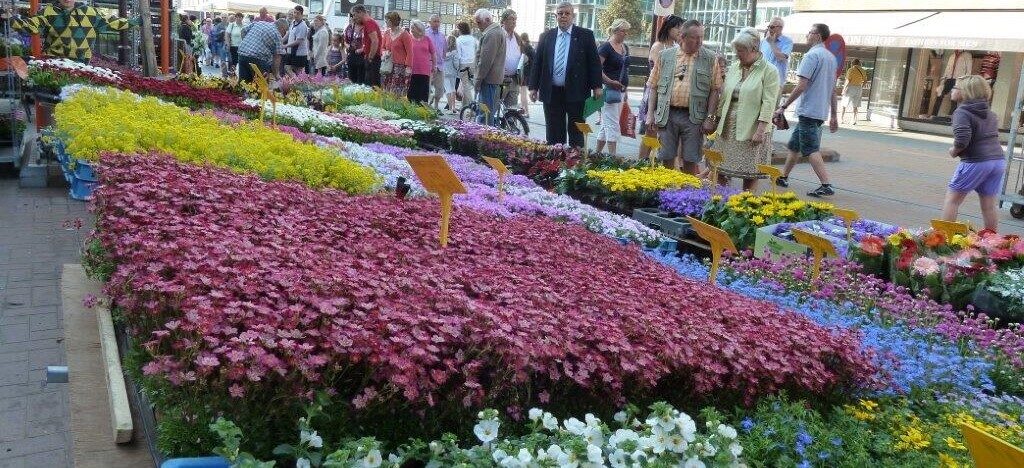 De Bloemenjaarmarket in Koksijde