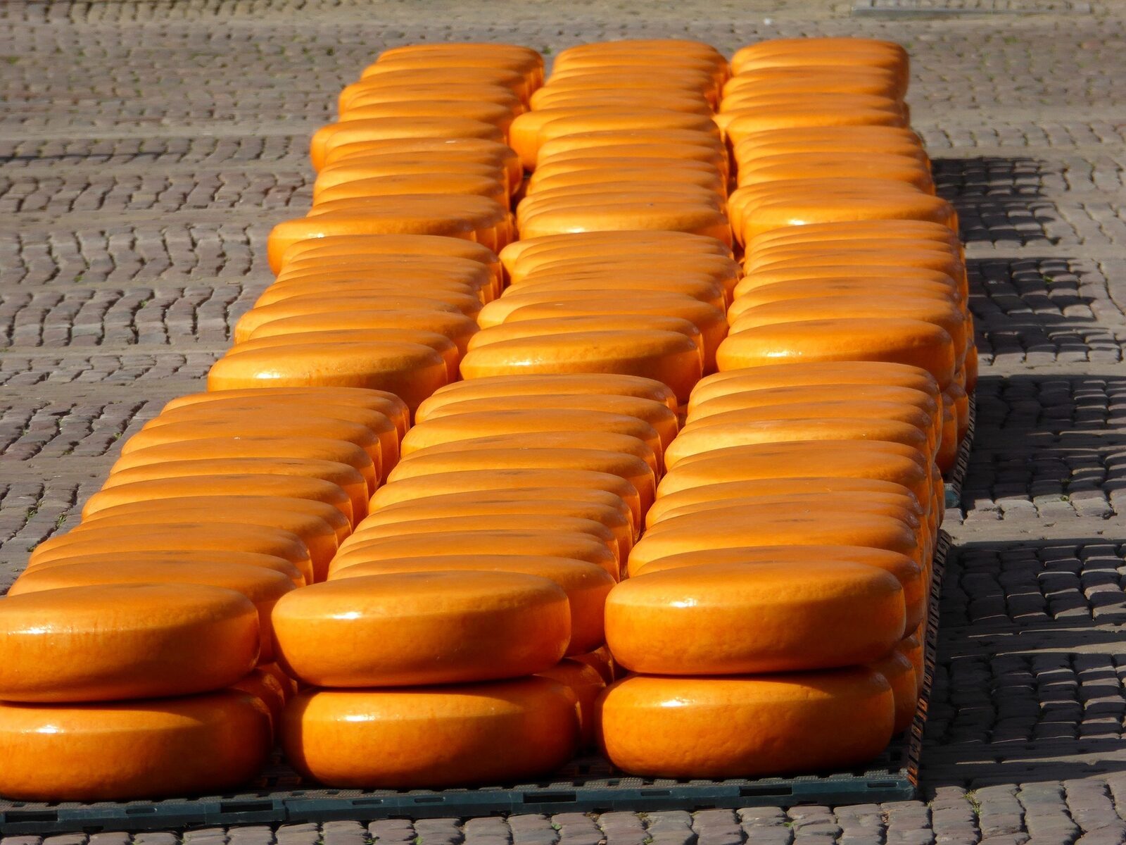 Cheese Market in Alkmaar