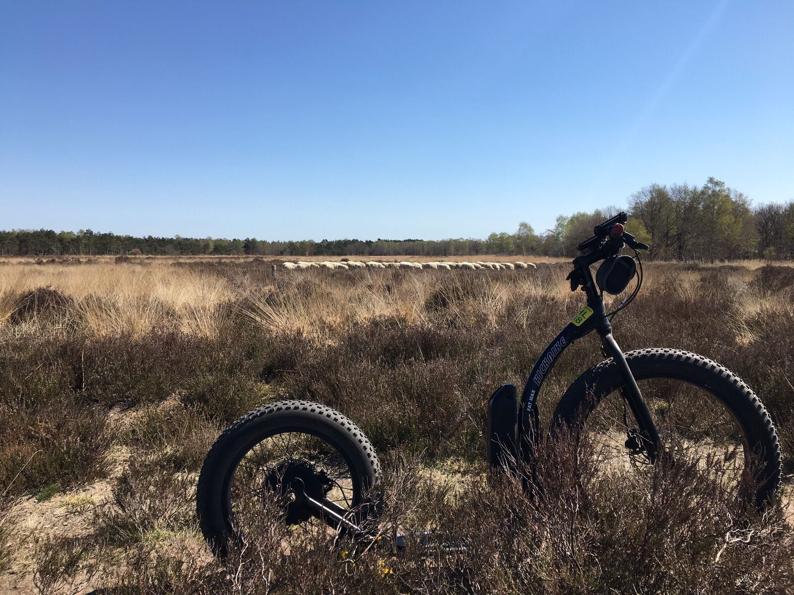 🛴 Kickbike Fatbikes from Green Valley