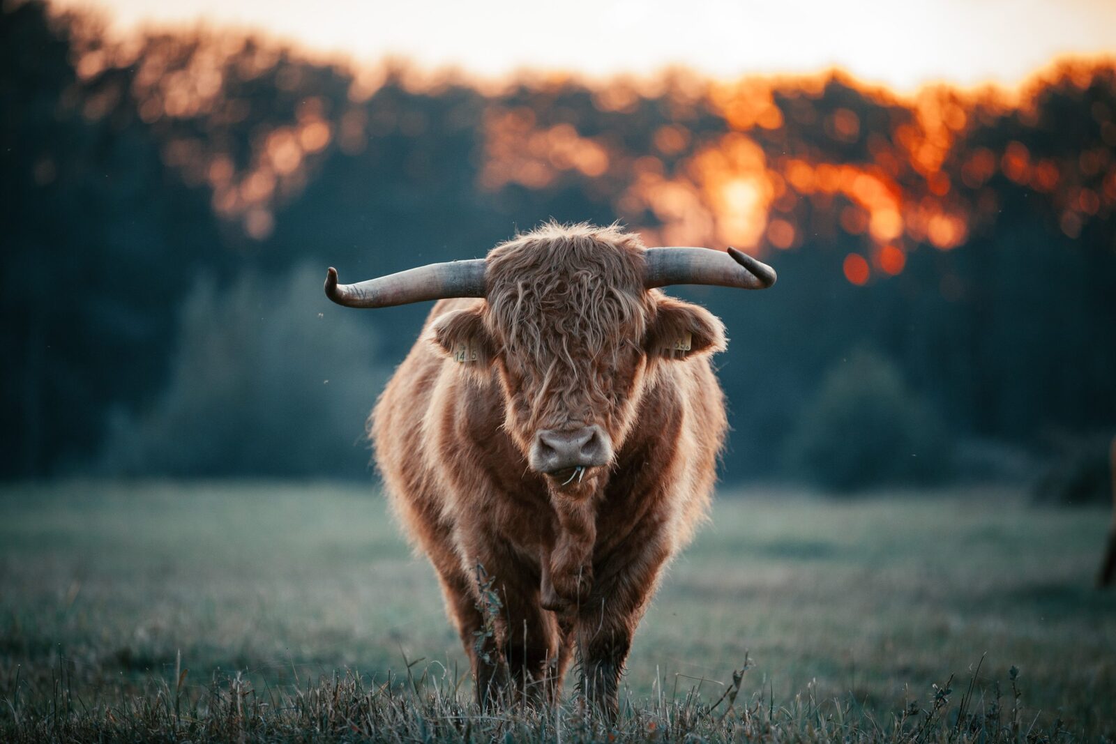 Natuurgebied Schotsman Zeeland