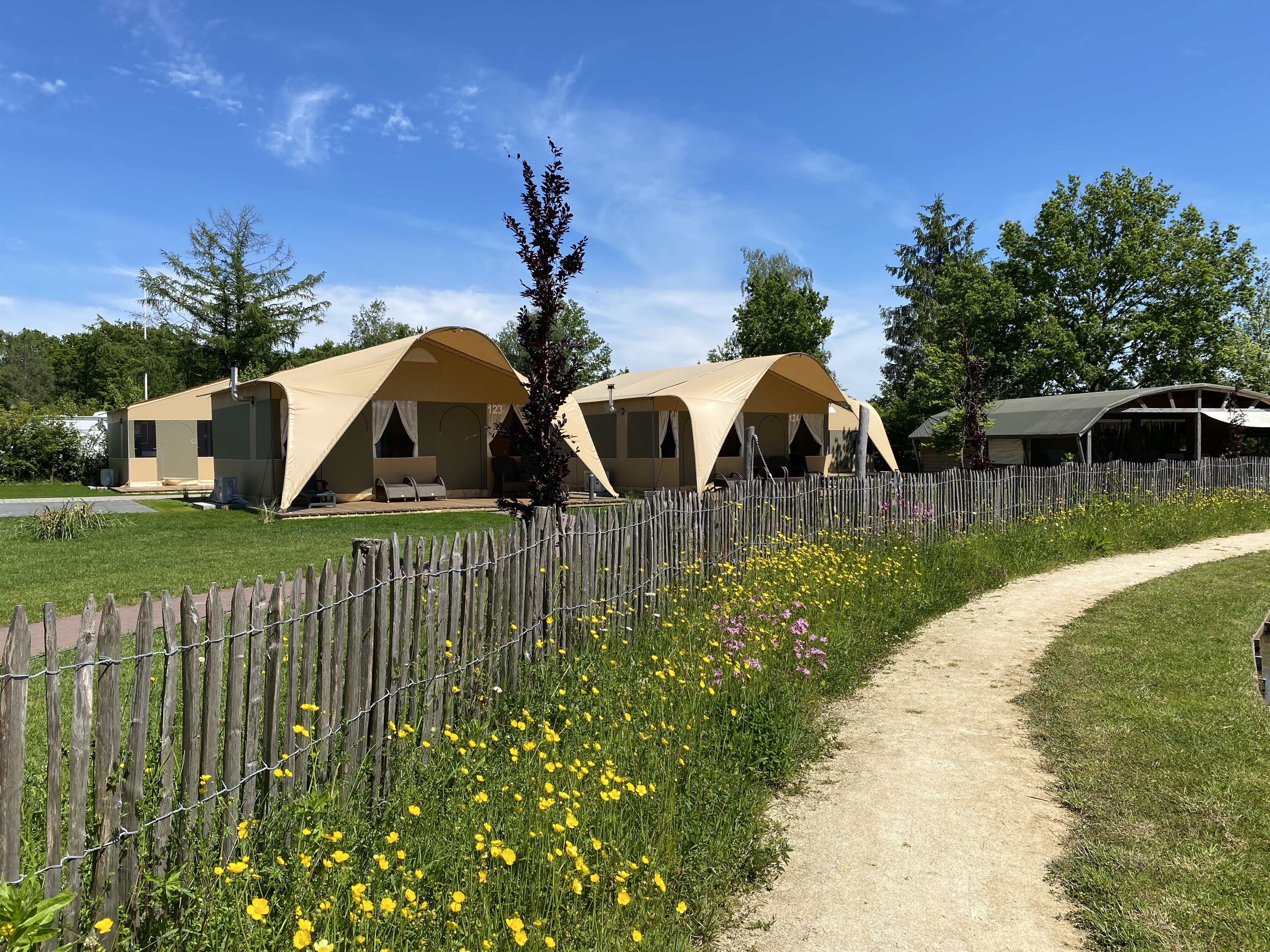 Vakantiepark 't Rheezerwold in Hardenberg — foto 2
