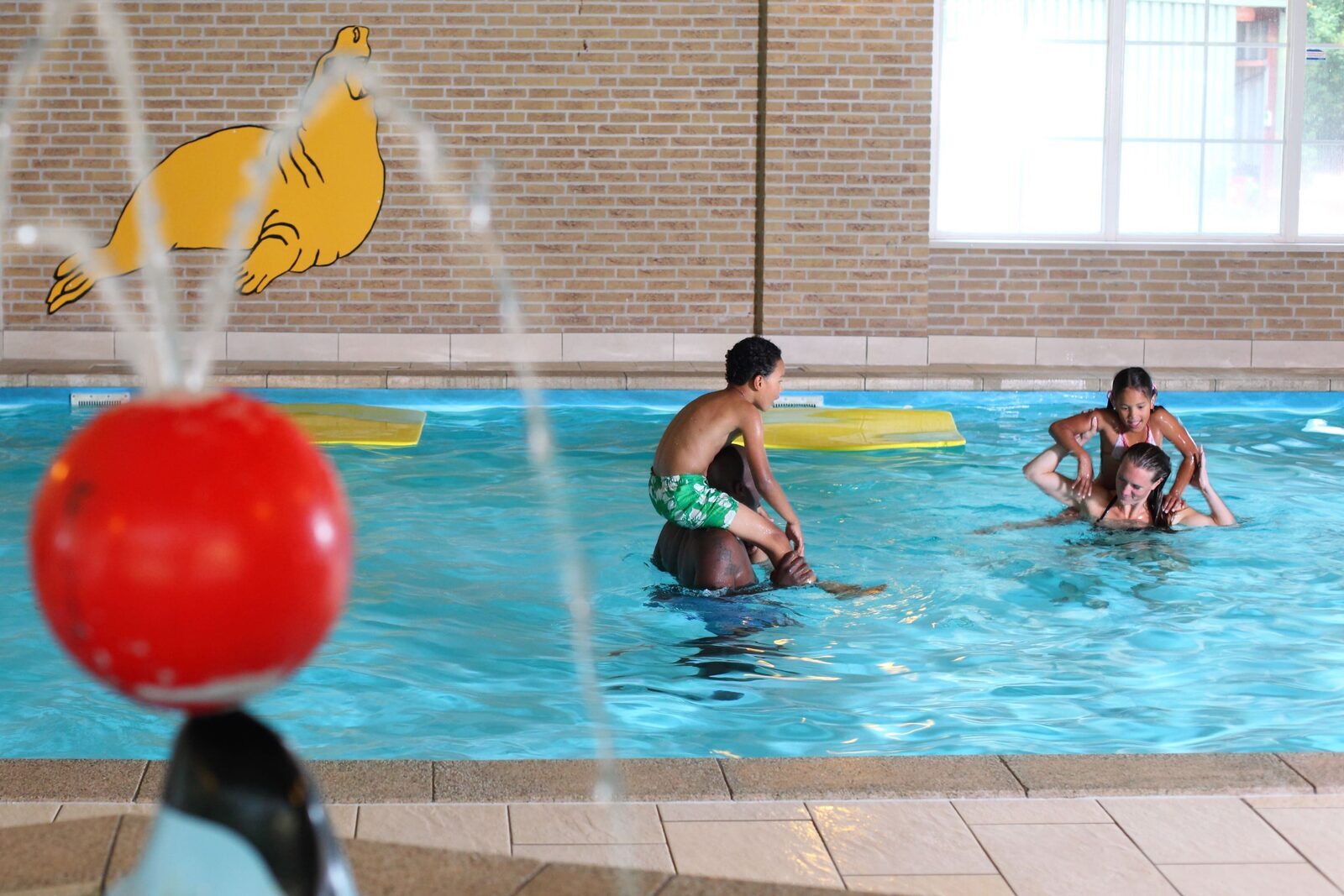 Kinderfreundlicher Ferienpark mit Schwimmbad