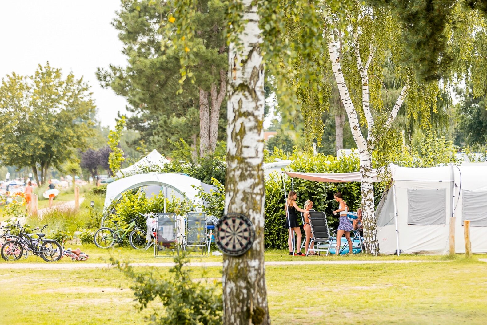 Discover our spacious camping places