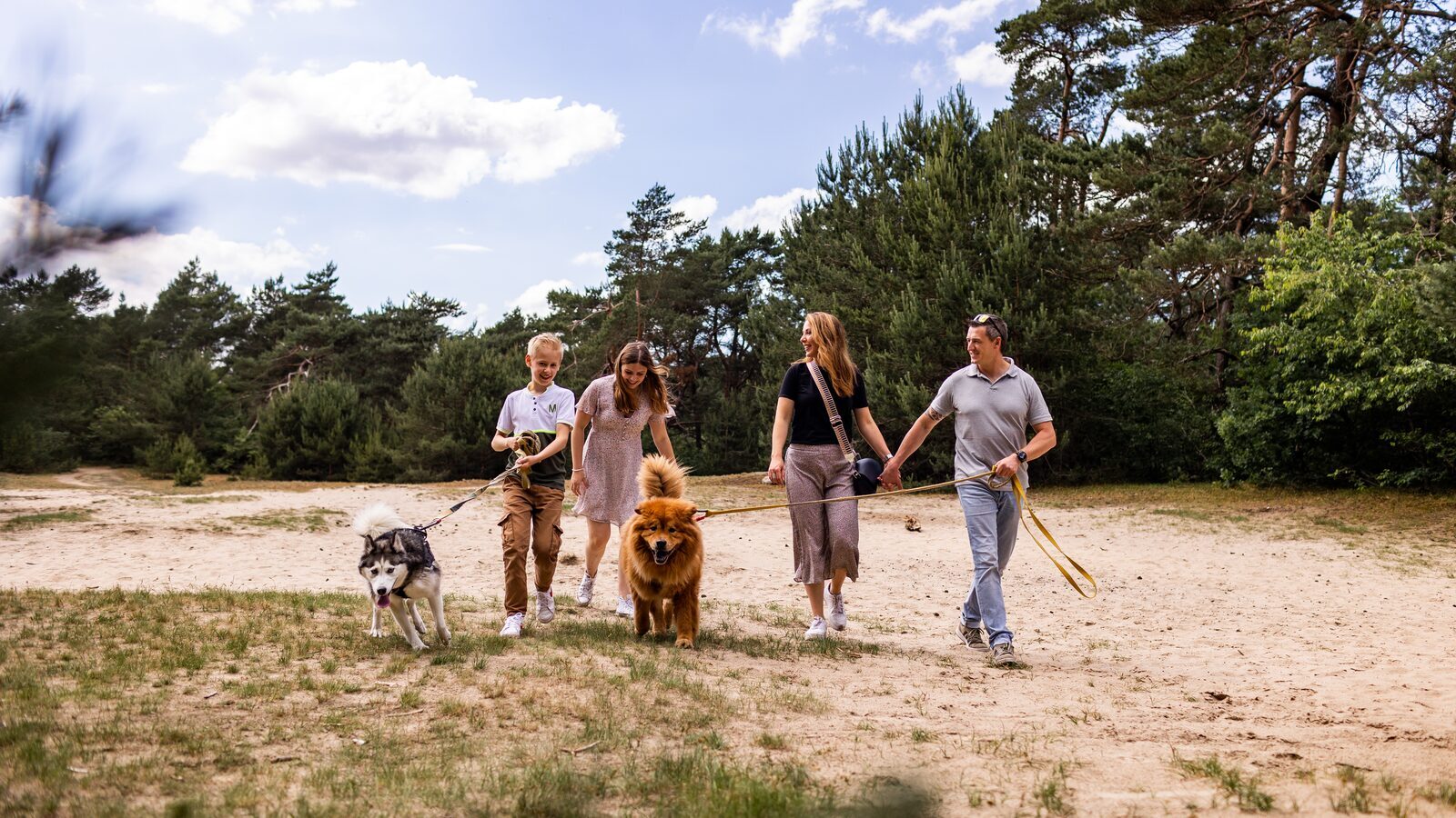 Ferien-Resort Veluwe mit Hund