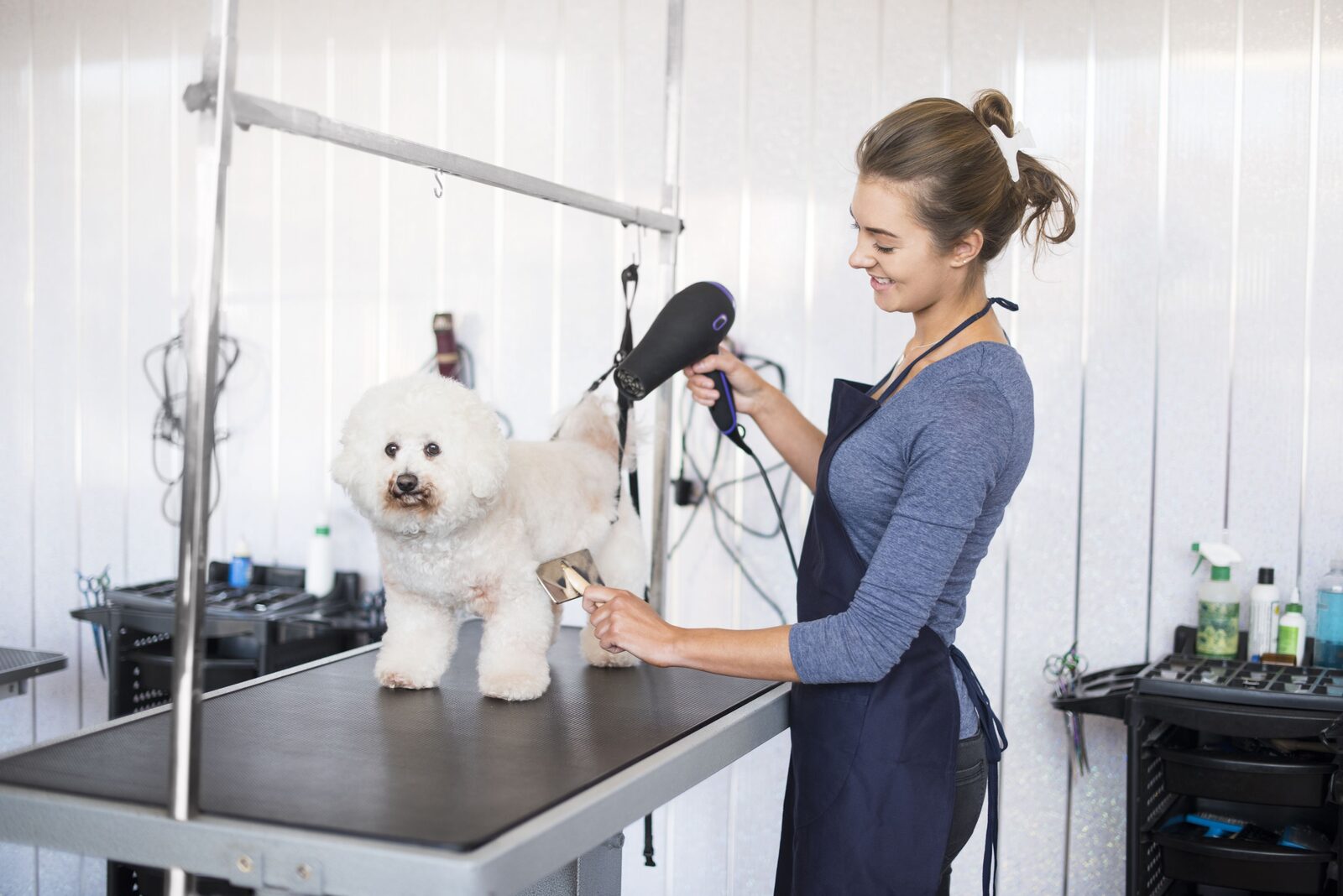 Luxurious holiday home Zeeland with dog at the sea