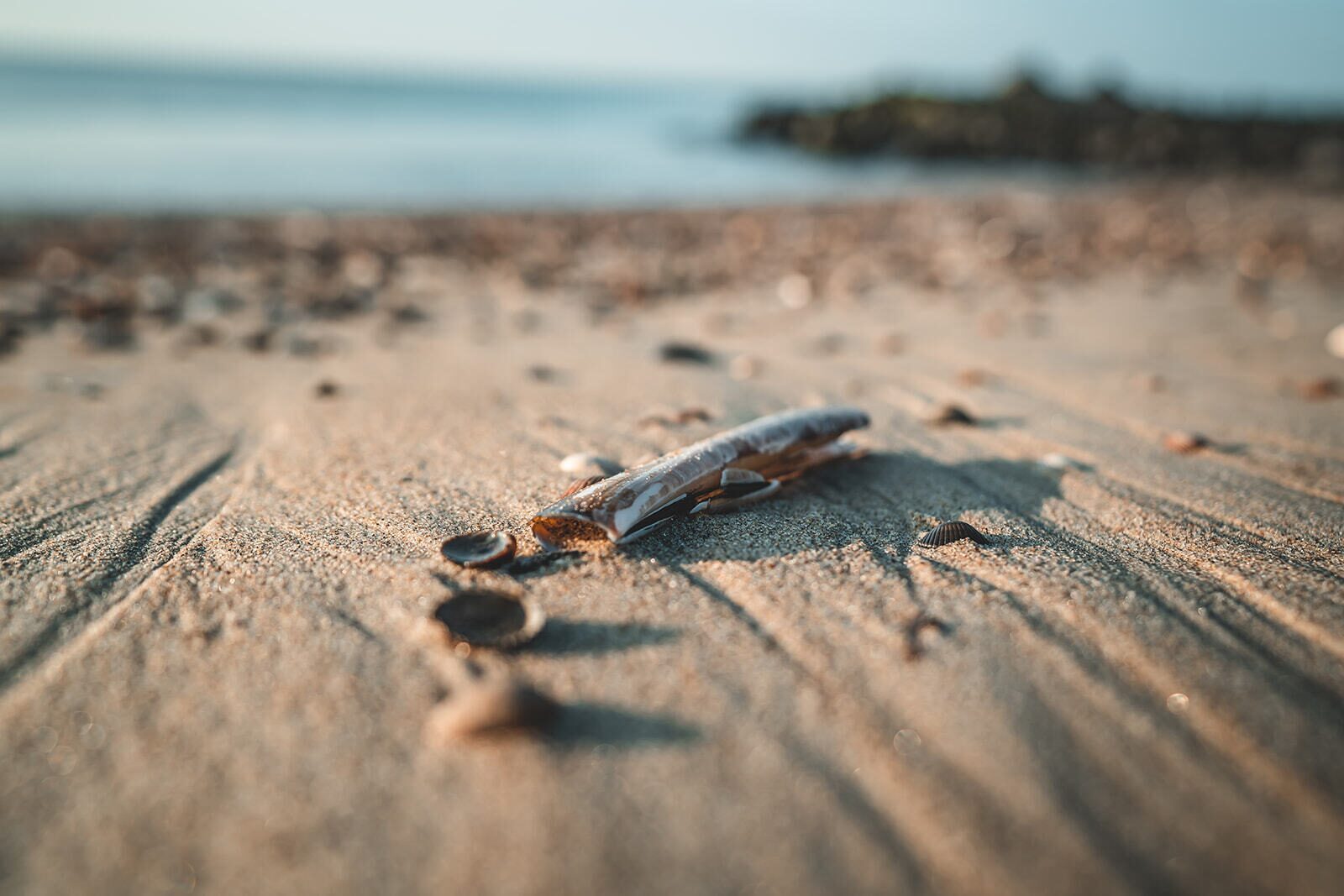 Strandvakantie Nederland