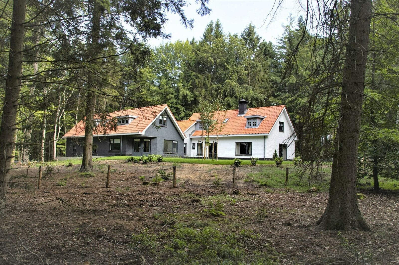 Huisje in het bos huren 