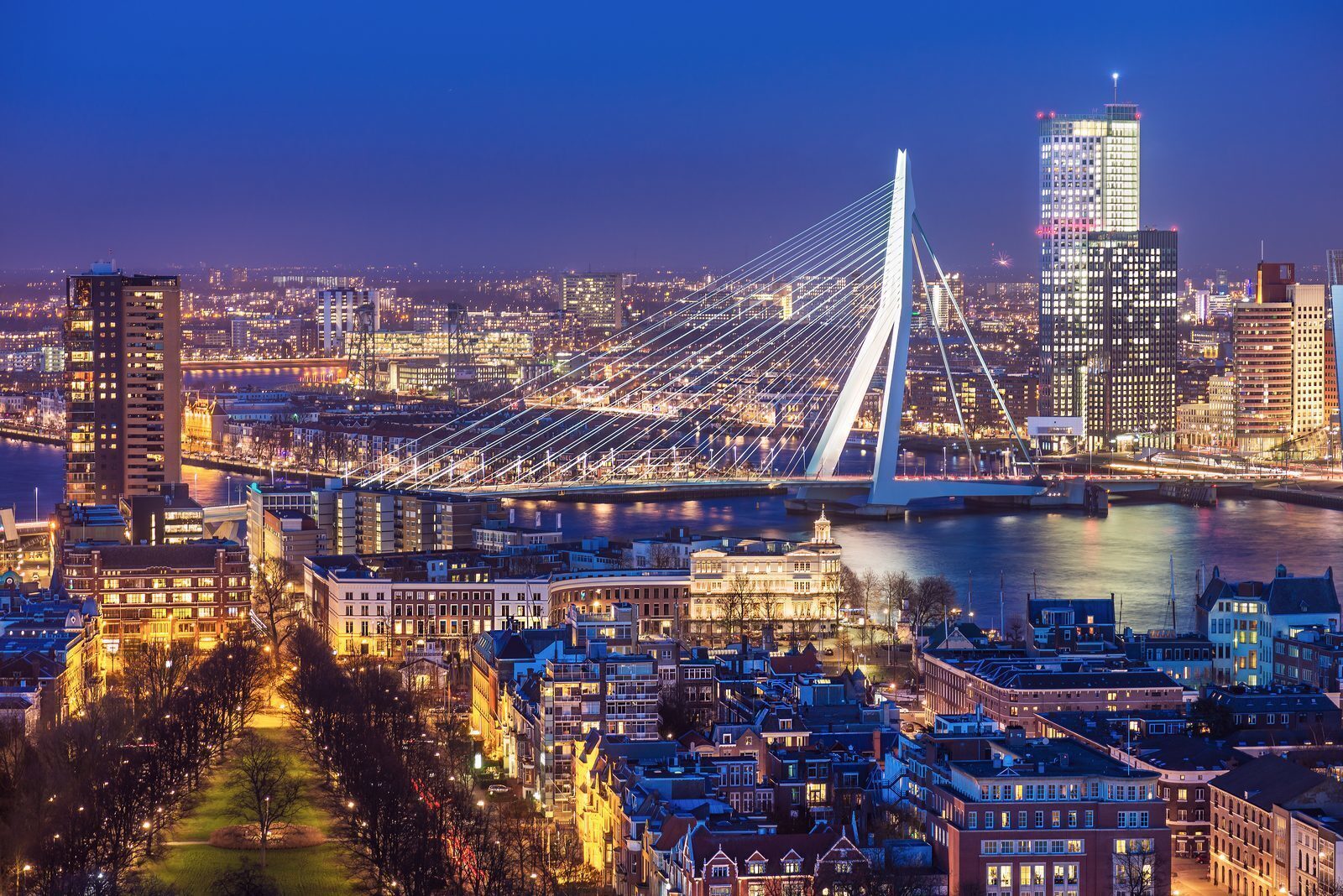 Wat te doen in Rotterdam? 7 tips!