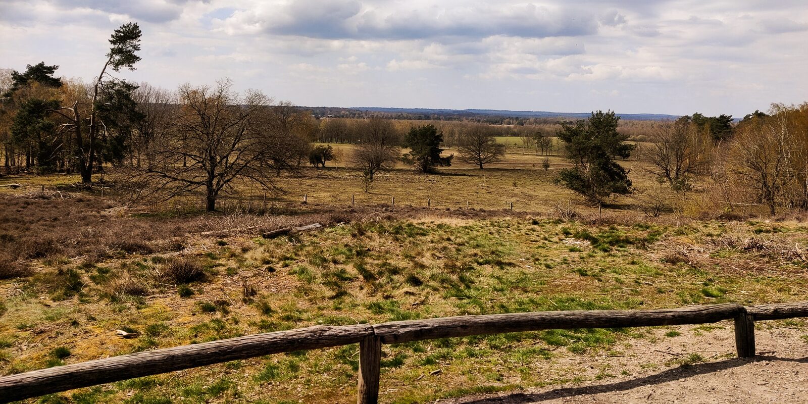 Nationaal Park Sallandse Heuvelrug