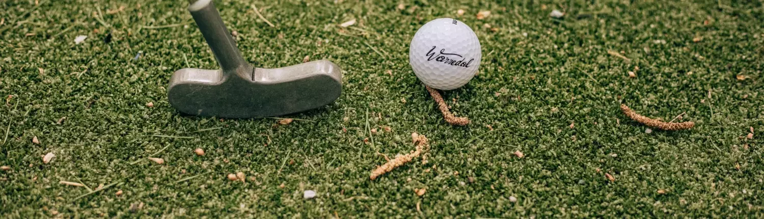 Adventure golf miniature