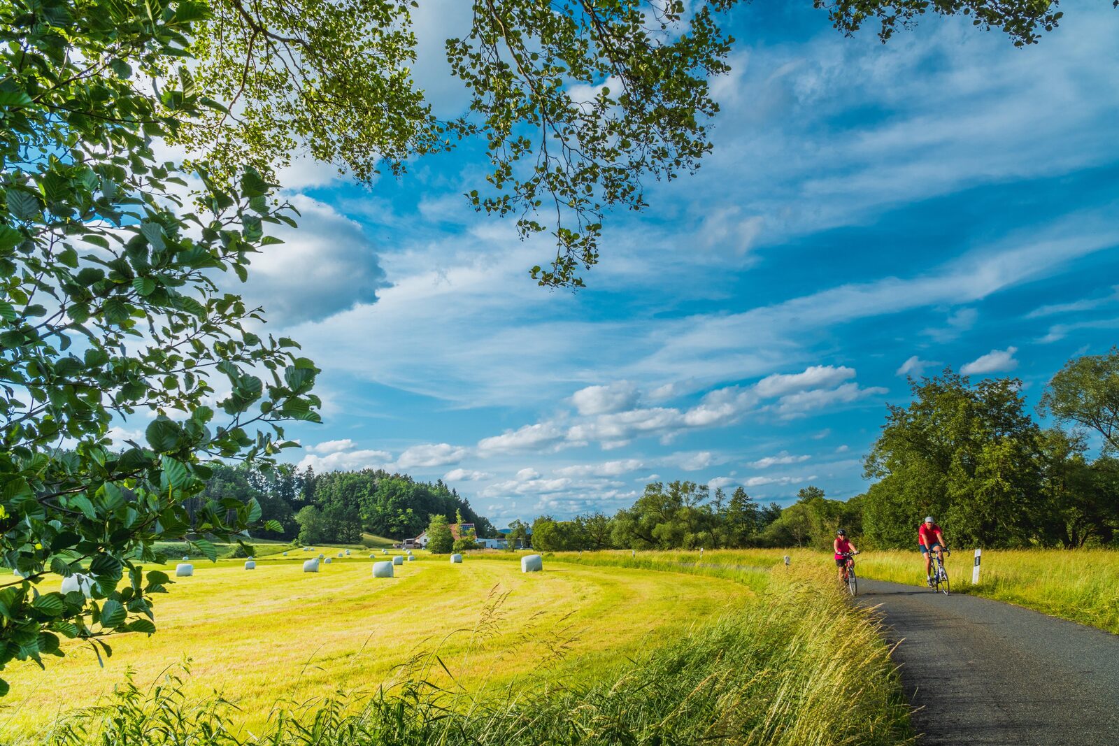 A couple cycling among the meadows