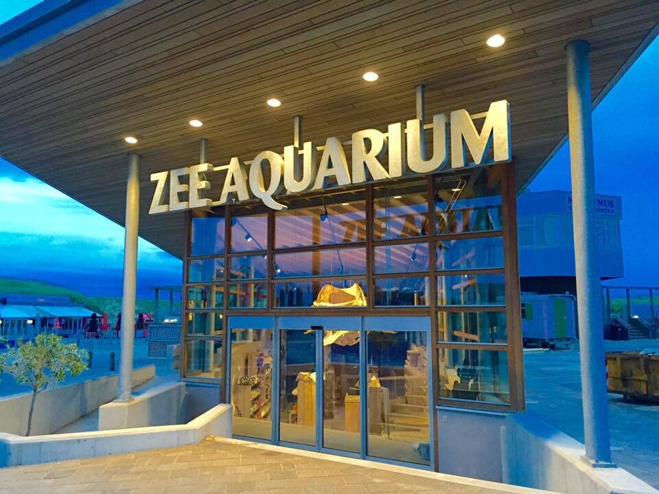 Zee aquarium 