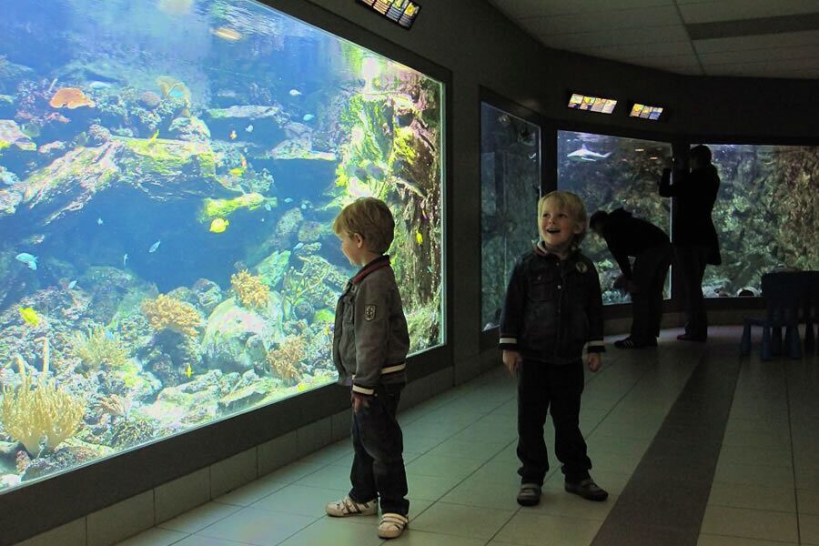 Zee Aquarium Bergen aan Zee 